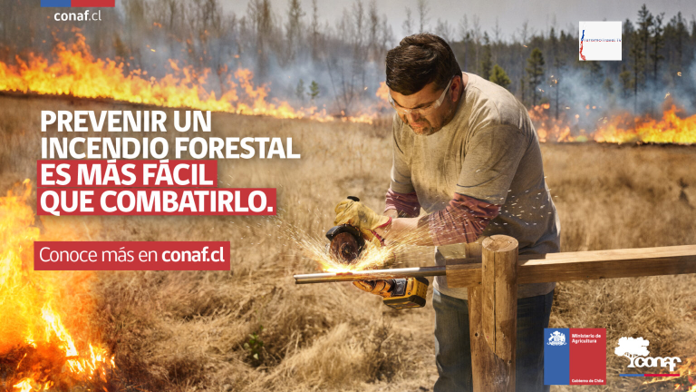Campaña Nacional de Prevención de Incendios Forestales 2024-2025.