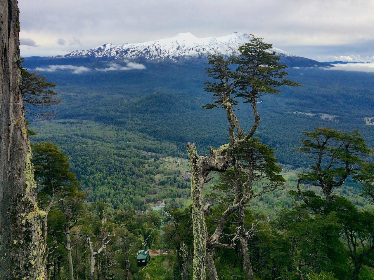 El Espectáculo de los Bosques en Huilo Huilo