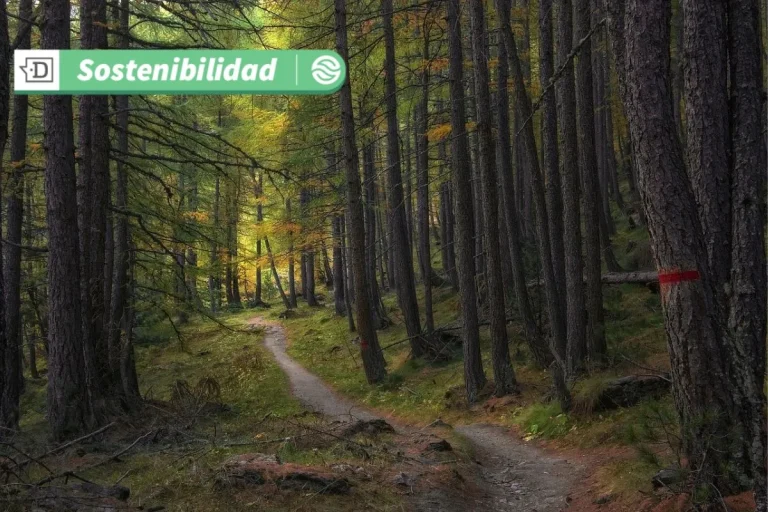 Hotelería verde en acción: Cómo los nuevos proyectos turísticos en Chile están regenerando territorio y comunidad