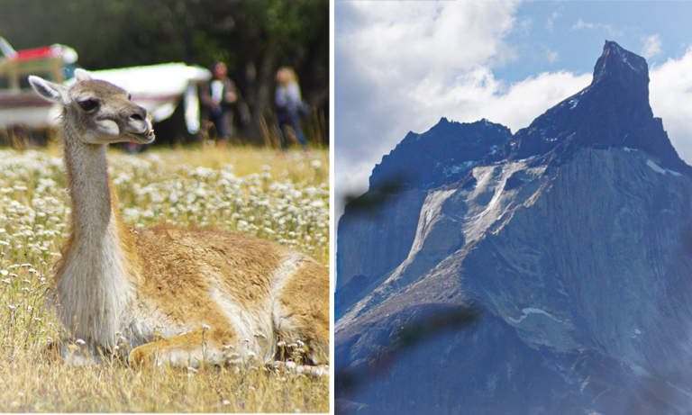 Alianza busca posicionar Chile como líder mundial en turismo de conservación