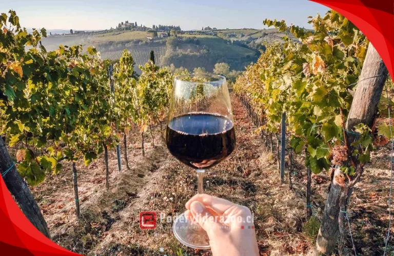 Chile descorcha su esencia más 40 fiestas de la Vendimia se desarrollarán entre Arica y La Araucanía