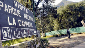 Un intenso flujo de visitantes y el foco en la protección marcan el verano en parques nacionales